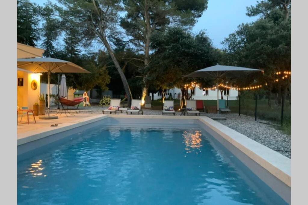 Gite Dans Les Pins Avec Piscine Villa Mazan Ngoại thất bức ảnh