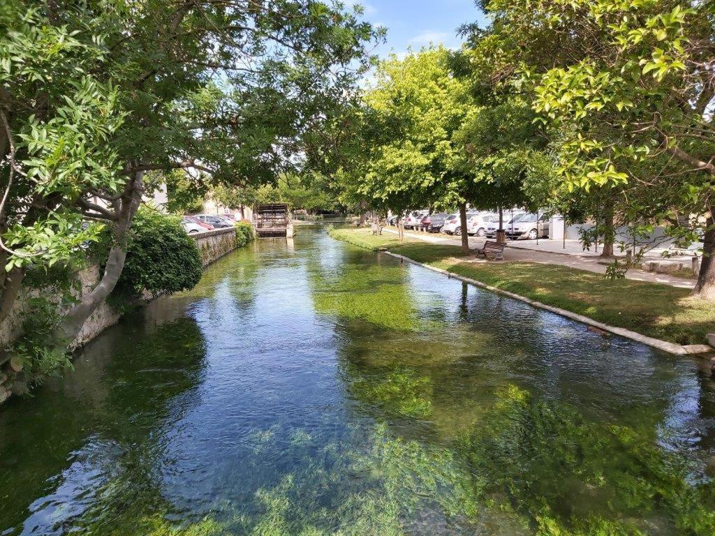 Gite Dans Les Pins Avec Piscine Villa Mazan Ngoại thất bức ảnh
